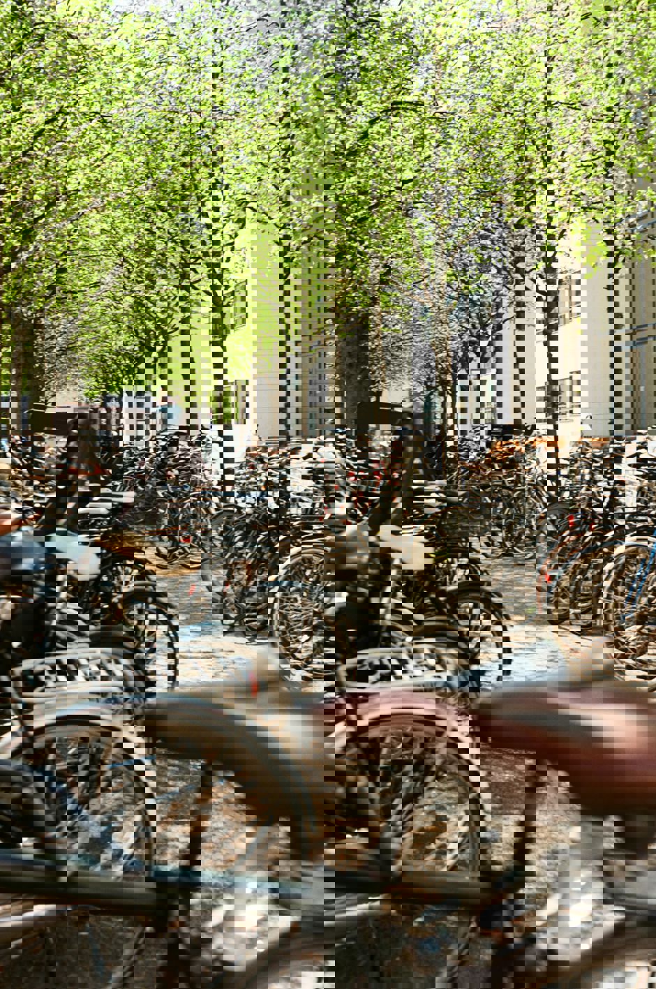 Cykelparkering - Foto af Nate Holland Unsplash